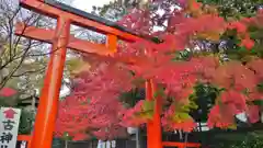 賀茂御祖神社（下鴨神社）の鳥居