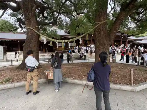 明治神宮(東京都)