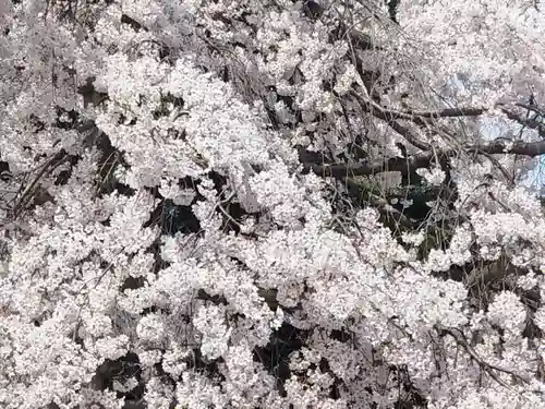 三宝院（三宝院門跡）(京都府)