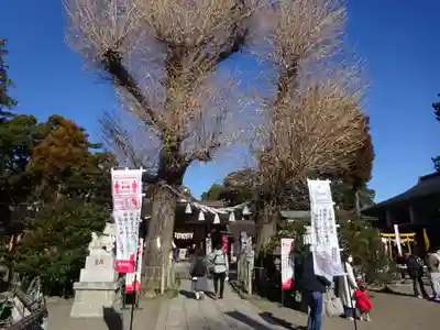 亀ケ池八幡宮のその他建物