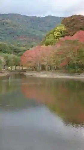 瑜伽神社の自然