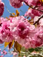 鹿島台神社(宮城県)