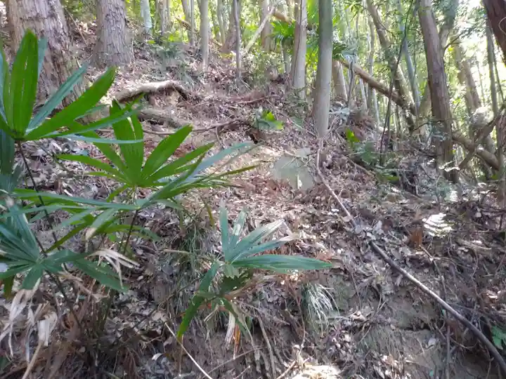 御嶽神社/駒形神社の自然
