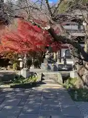 長谷寺(神奈川県)