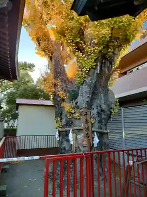 押切稲荷神社(千葉県)