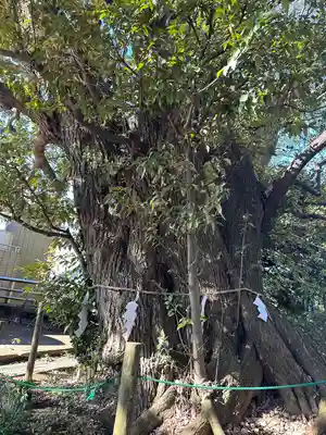 九重神社(埼玉県)