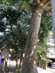 甲鉾神社(大阪府)