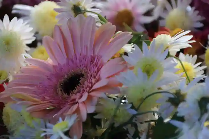 豊景神社の手水舎