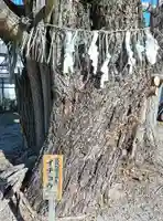 八大龍王辨財天(京都府)