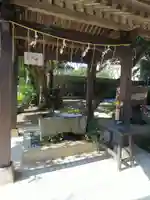 柏諏訪神社の手水舎