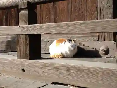阿邪訶根神社(福島県)