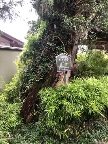 許波多神社（五ケ庄鎮座）のその他建物