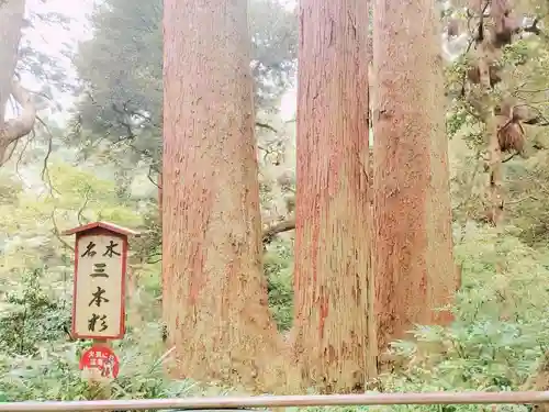 笠森寺の自然