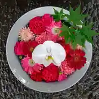 帯廣神社の手水舎