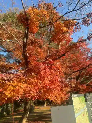 平等院(京都府)