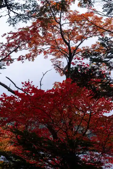 大瀧神社(長野県)