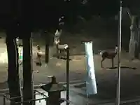 石山神社の動物