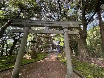 日本唯一香辛料の神 波自加彌神社(石川県)