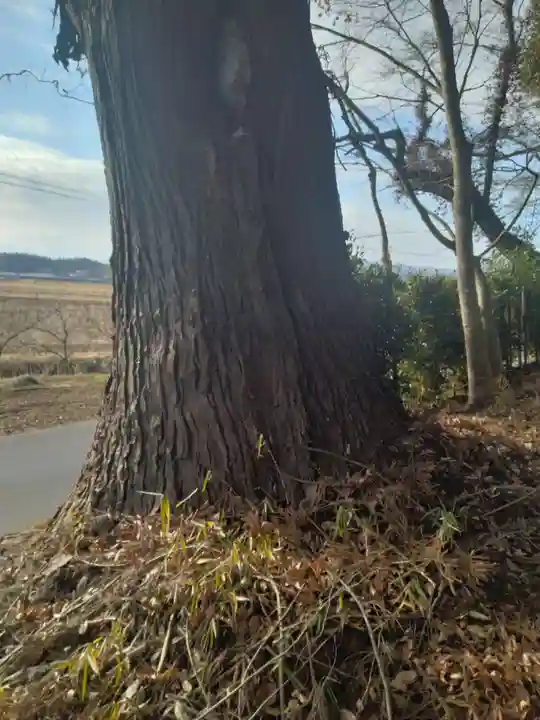愛宕神社(宮城県)