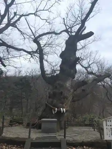 那須温泉神社の自然
