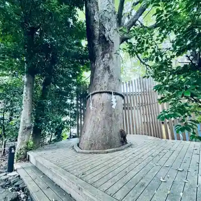 鎮守氷川神社(埼玉県)