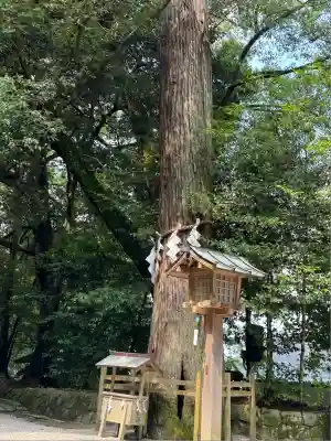 石上神宮(奈良県)