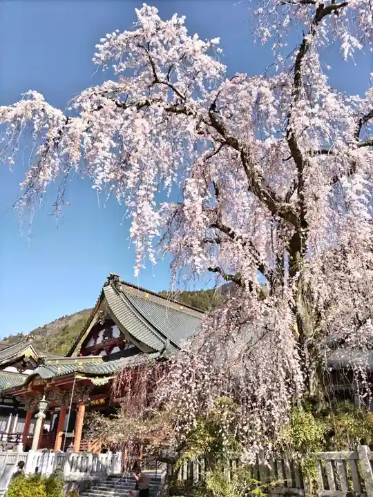 久遠寺(山梨県)