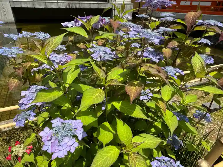 頂法寺(六角堂)(京都府)