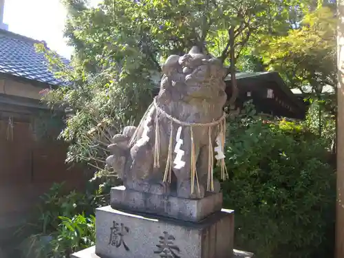 堀越神社の狛犬