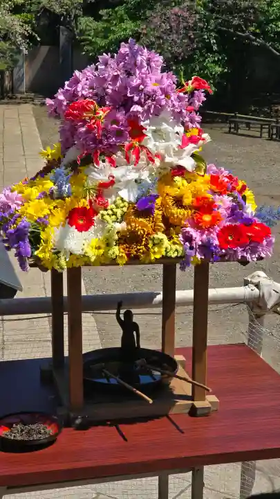 新井薬師(梅照院)の{uncategorized: "未分類", other: "その他", undefined: "問題あり", building: "その他建物", grave: "お墓", sacred_gate: "鳥居", guardian: "狛犬", statue: "像", buddha: "仏像", history: "歴史", nature: "自然", garden: "庭園", animal: "動物", pagoda: "塔", temizu: "手水舎", mountain_gate: "山門・神門", sanctuary: "本殿・本堂", subordinate: "末社・摂社", art: "芸術", scenery: "景色", jizo: "地蔵", ema: "絵馬", goshuin: "御朱印", omikuji: "おみくじ", items: "授与品その他", amulet: "お守り", goshuincho: "御朱印帳", eats: "食事", festival: "お祭り", votive_dance: "神楽", shichigosan: "七五三参", wedding: "結婚式", experience: "体験その他", initially: "初詣", around: "周辺", anti_infection: "感染症対策"}