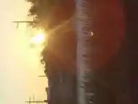 天照大神(神奈川県)