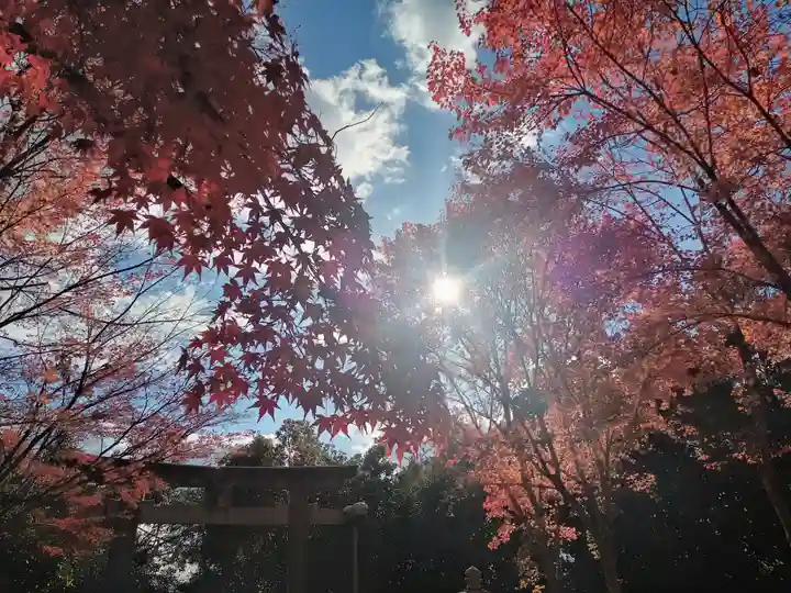 壺井八幡宮(大阪府)