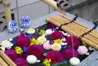 【閉業】小石川大神宮(東京都)