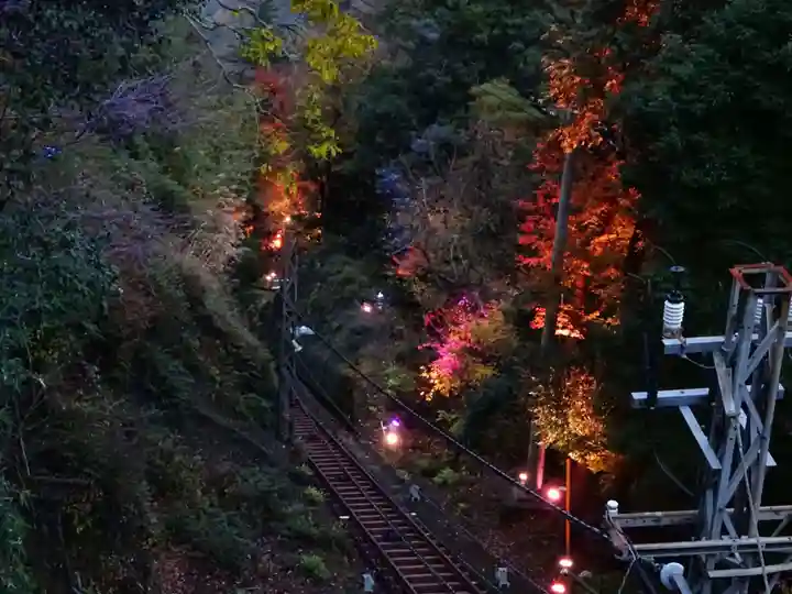 大山阿夫利神社の景色