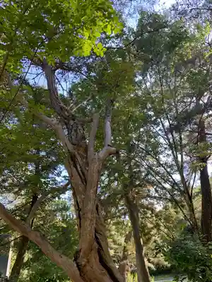 瑠璃光寺(山口県)