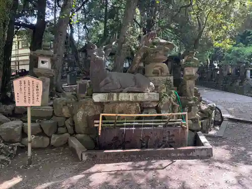 春日大社(奈良県)