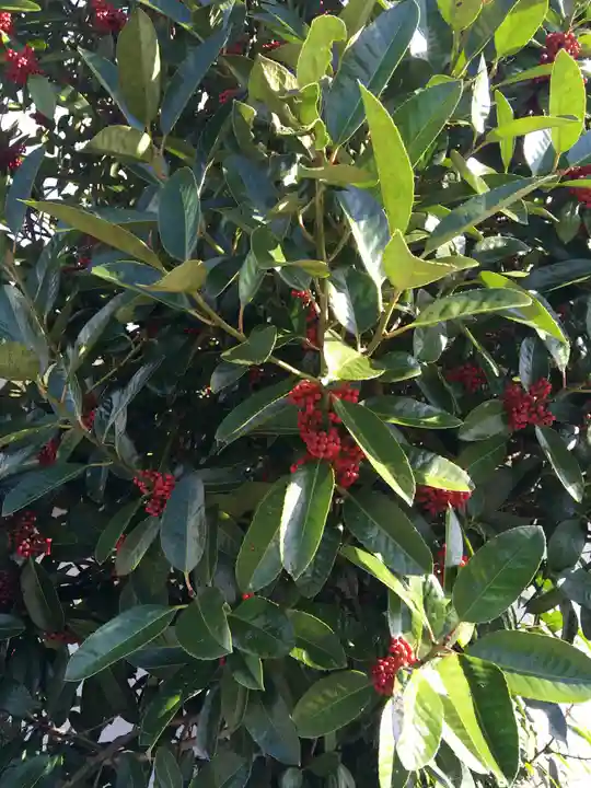 須佐神社の自然