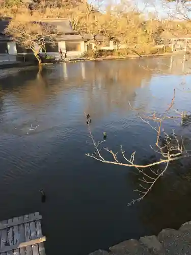 鶴岡八幡宮(神奈川県)