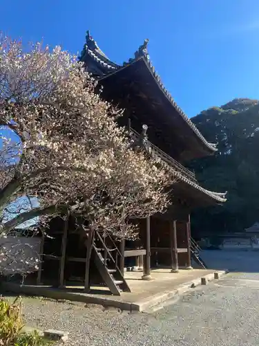 大恩寺(愛知県)