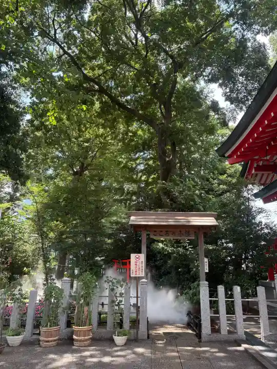 川越八幡宮(埼玉県)