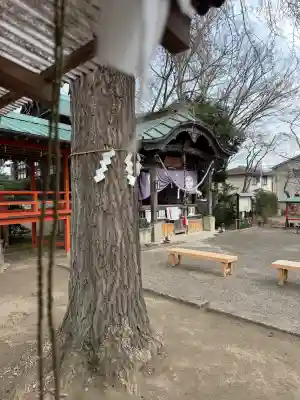 水海道鎮守 八幡神社(茨城県)