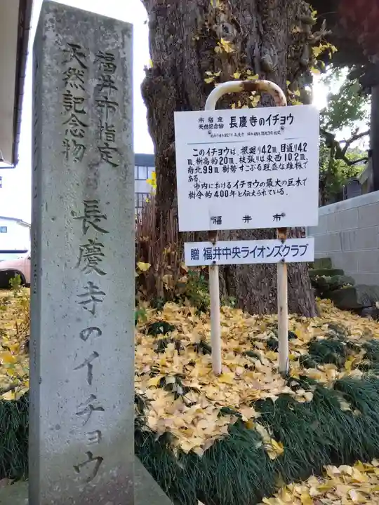 長慶寺(福井県)