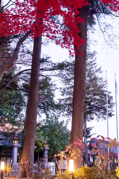 諏訪大社下社秋宮(長野県)