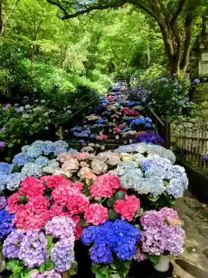 長谷寺のその他建物