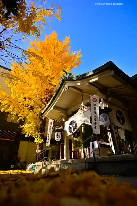 銀杏岡八幡神社(東京都)