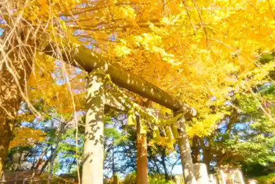 葛原岡神社(神奈川県)