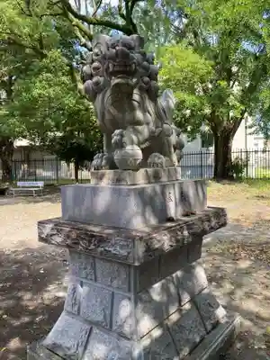 於菊稲荷神社の狛犬