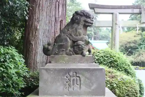 新橋浅間神社の狛犬