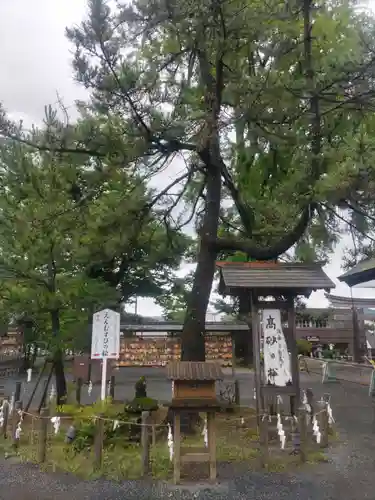 阿蘇神社(熊本県)