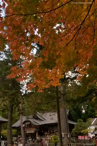 北口本宮冨士浅間神社の本殿